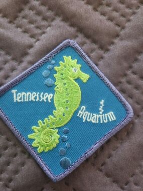 Kids Patch — Blue & Lime Seahorse Embroidered Badge